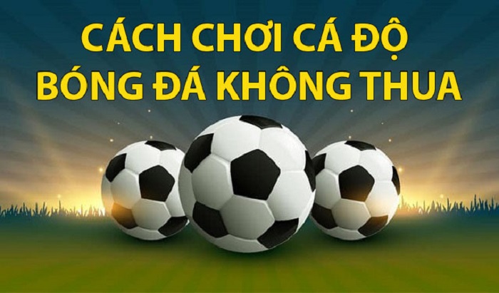 Lý do tại sao người chơi thường chọn cửa thua khi cá độ kèo bóng đá